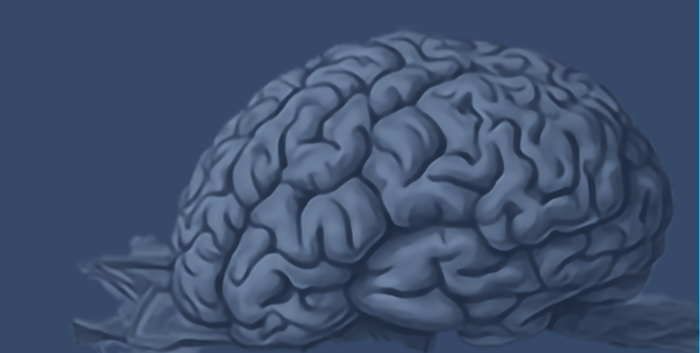 brain depicting financial psychology
